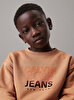 Erkek Çocuk Gradient Flock Logo Sweatshirt