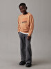 Erkek Çocuk Gradient Flock Logo Sweatshirt