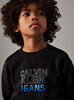 Erkek Çocuk Gradient Flock Logo Sweatshirt