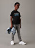 Erkek Çocuk Gradient Flock Logo T-shirt