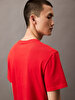 Erkek Sport Logo Classic T-shirt