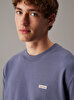 Erkek Calvin Klein Label T-shirt