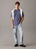 Erkek Calvin Klein Label T-shirt