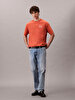 Erkek Calvin resort T-shirt