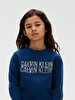 Erkek Çocuk Terry Seasonal Logo Sweatshirt