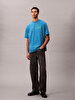 Erkek 16s Calvin Klein T-shirt