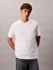 Erkek 20s Calvin Klein T-shirt