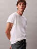 Erkek 20s Calvin Klein T-shirt
