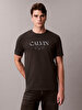 Erkek 20s Calvin T-shirt