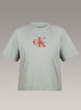 Kadın Boxy Seasonal T-shirt