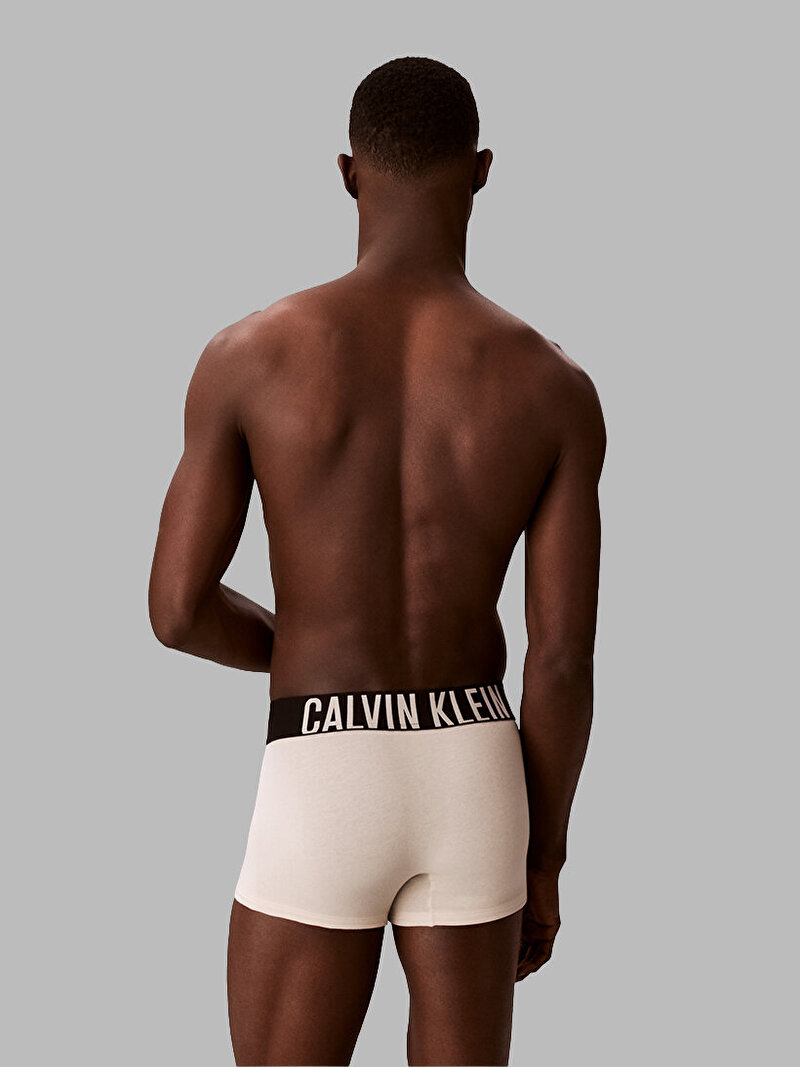 Calvin Klein Çok renkli Renkli Erkek 3'lü Paket Trunk Boxer Seti