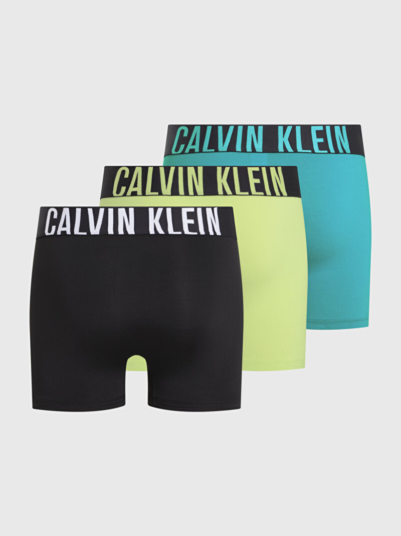 Calvin Klein Çok renkli Renkli Erkek 3'Lü Boxer Brief