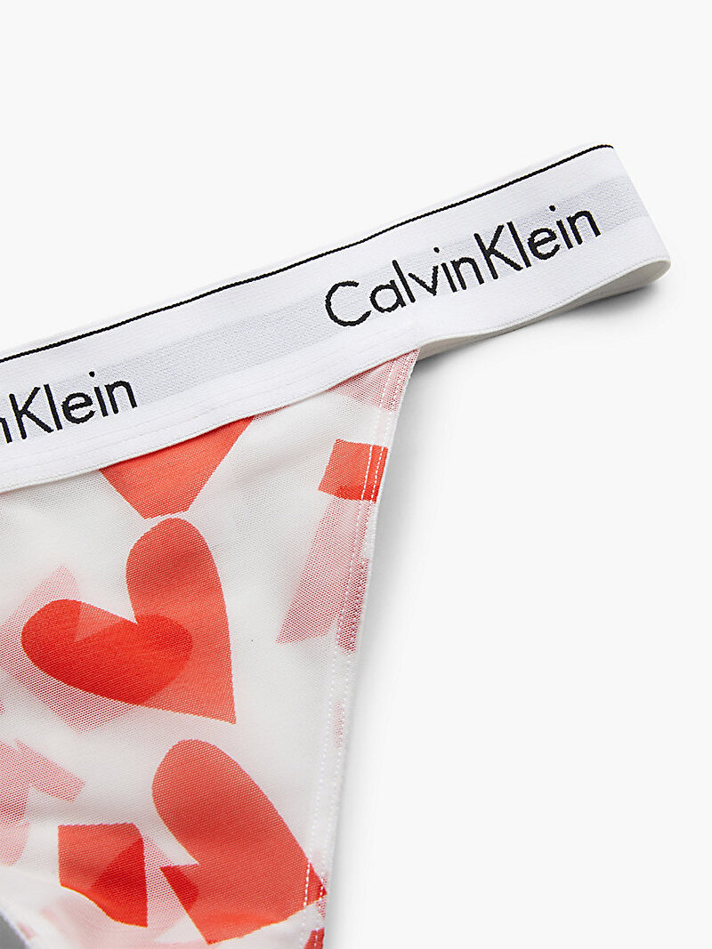 Calvin Klein Çok renkli Renkli Kadın String Tanga Külot