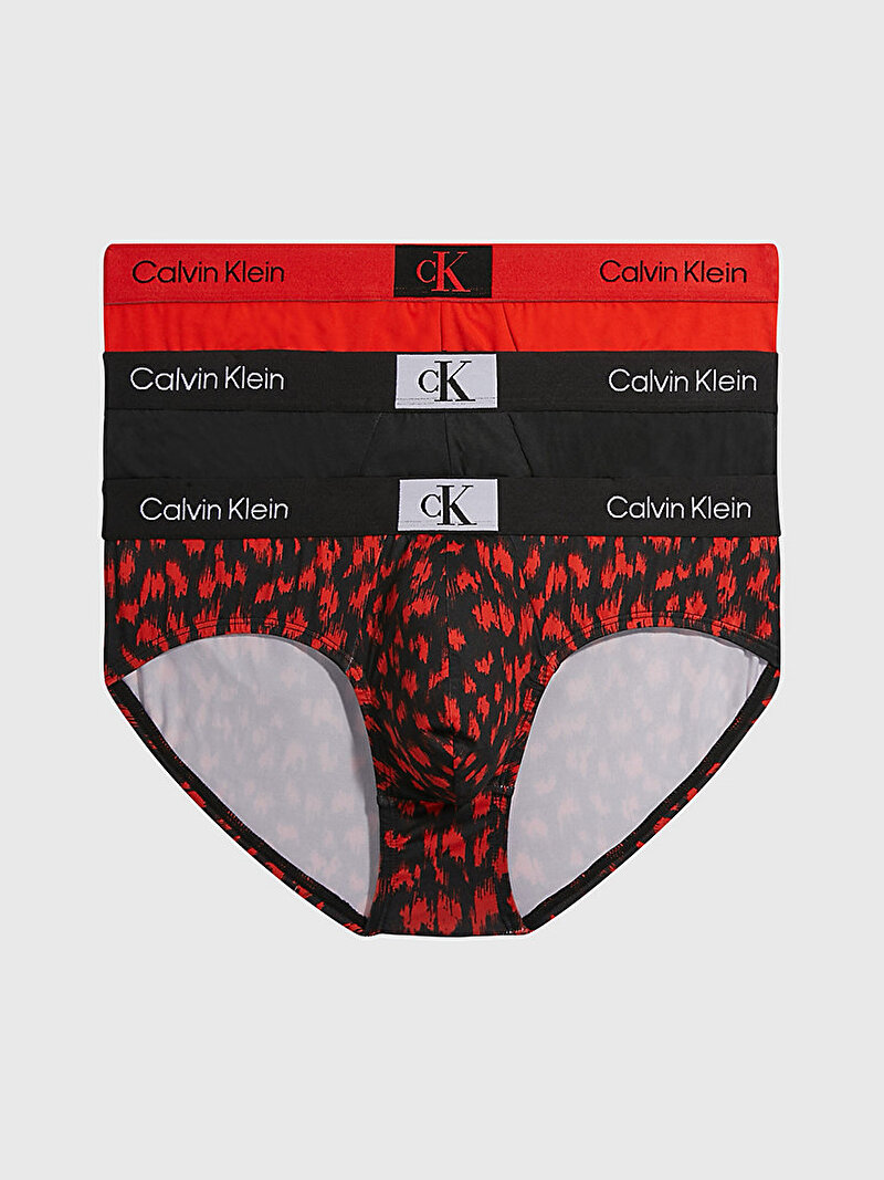 Calvin Klein Çok renkli Renkli Erkek 3'Lü Hip Brief Slip Külot Seti