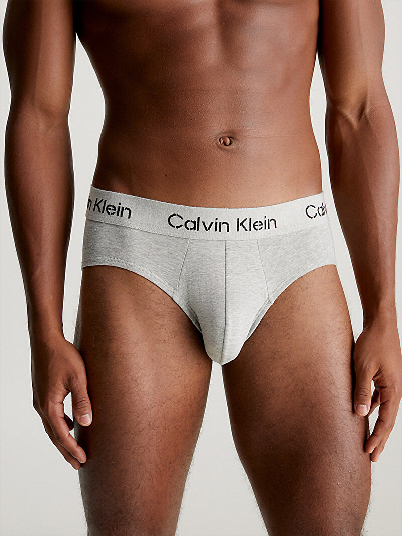 Calvin Klein Çok renkli Renkli Erkek 3'Lü Hip Brief Slip Külot Seti