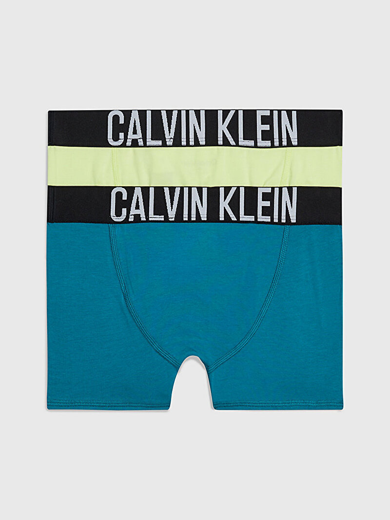 Calvin Klein Çok renkli Renkli Erkek Çocuk 2'Li Trunk Boxer