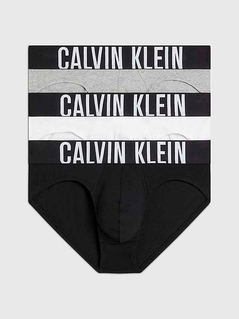 Calvin Klein Çok renkli Renkli Erkek 3'Lü Hip Brief Slip Külot