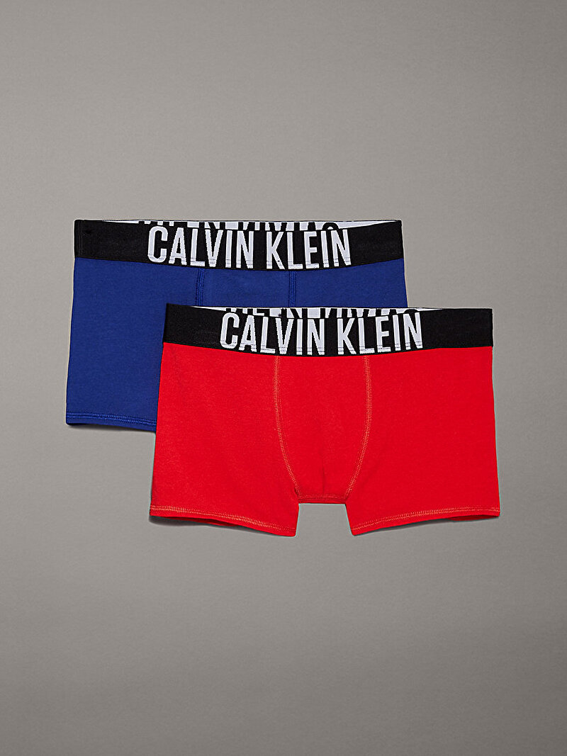 Erkek Çocuk 2'Li Trunk Boxer