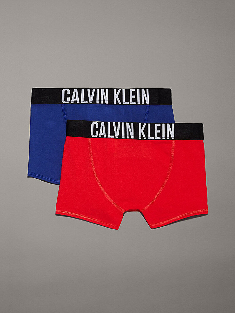 Calvin Klein Çok renkli Renkli Erkek Çocuk 2'Li Trunk Boxer