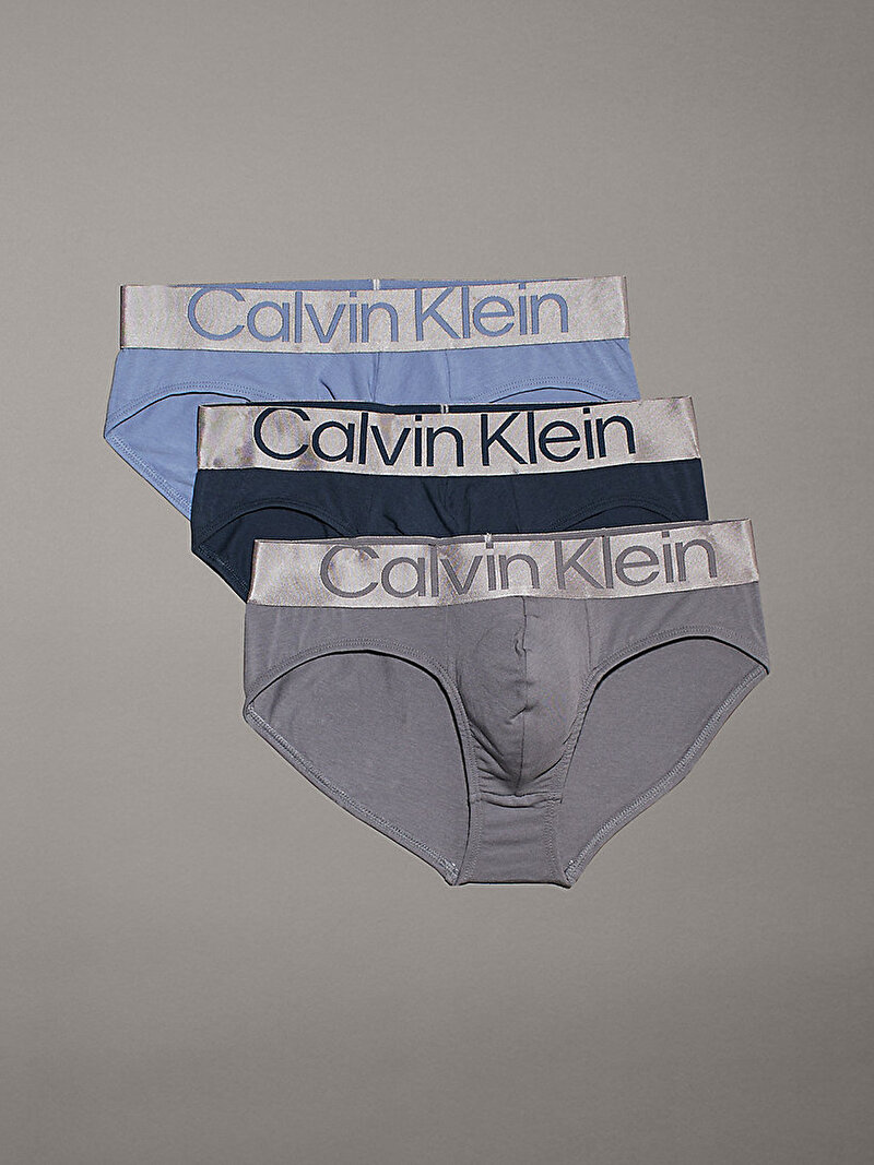 Calvin Klein Çok renkli Renkli Erkek 3'Lü Hip Brief Slip Külot