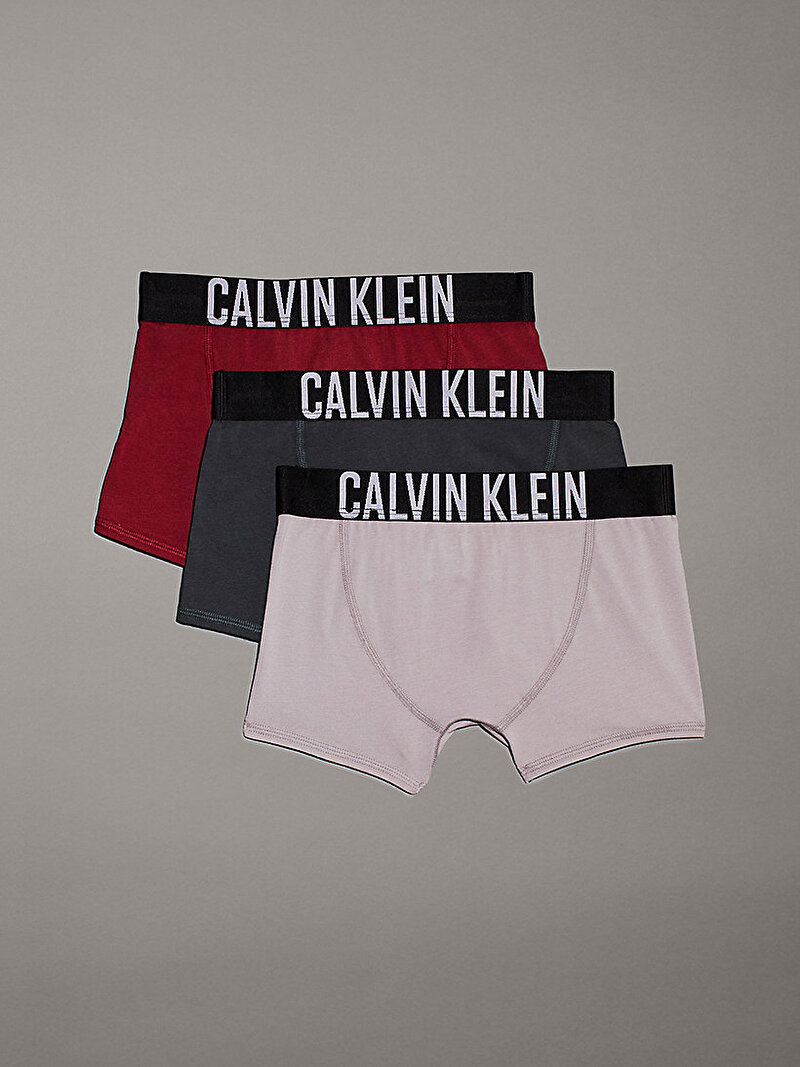 Calvin Klein Çok renkli Renkli Erkek Çocuk 3'lü Paket Trunk Boxer Seti