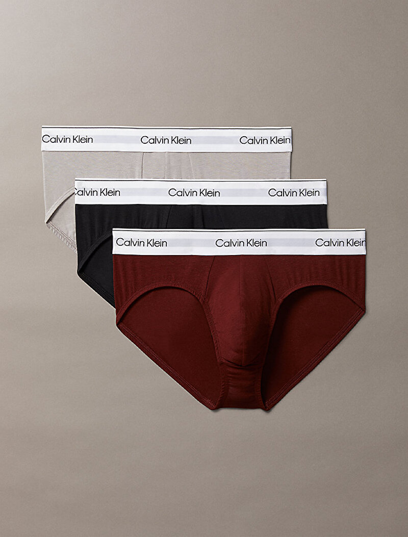 Calvin Klein Çok renkli Renkli Erkek 3'lü Paket Hip Brief Slip Külot