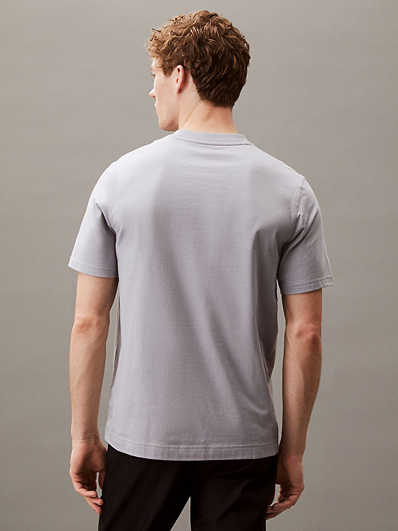 Calvin Klein Gri Renkli Erkek Graphic T-shirt