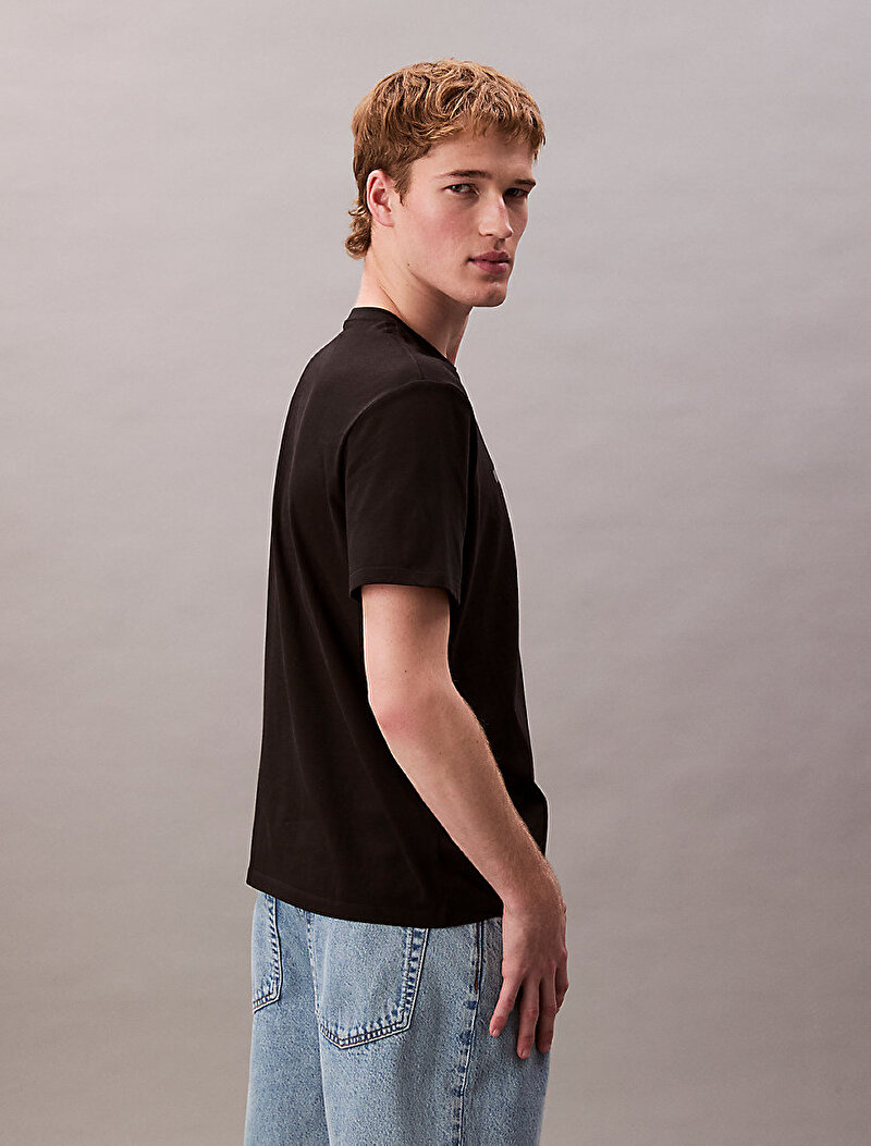 Calvin Klein Siyah Renkli Erkek 20s Calvin Klein T-shirt