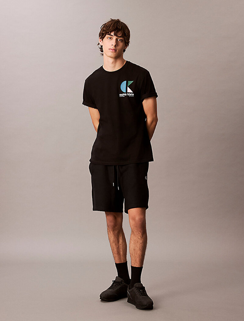 Calvin Klein Siyah Renkli Erkek 20s Ck Bauhaus T-shirt