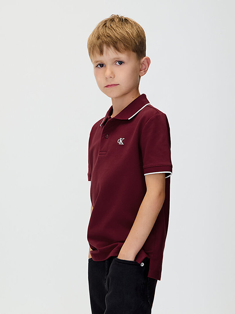 Erkek Çocuk Tipping Regular Polo T-shirt