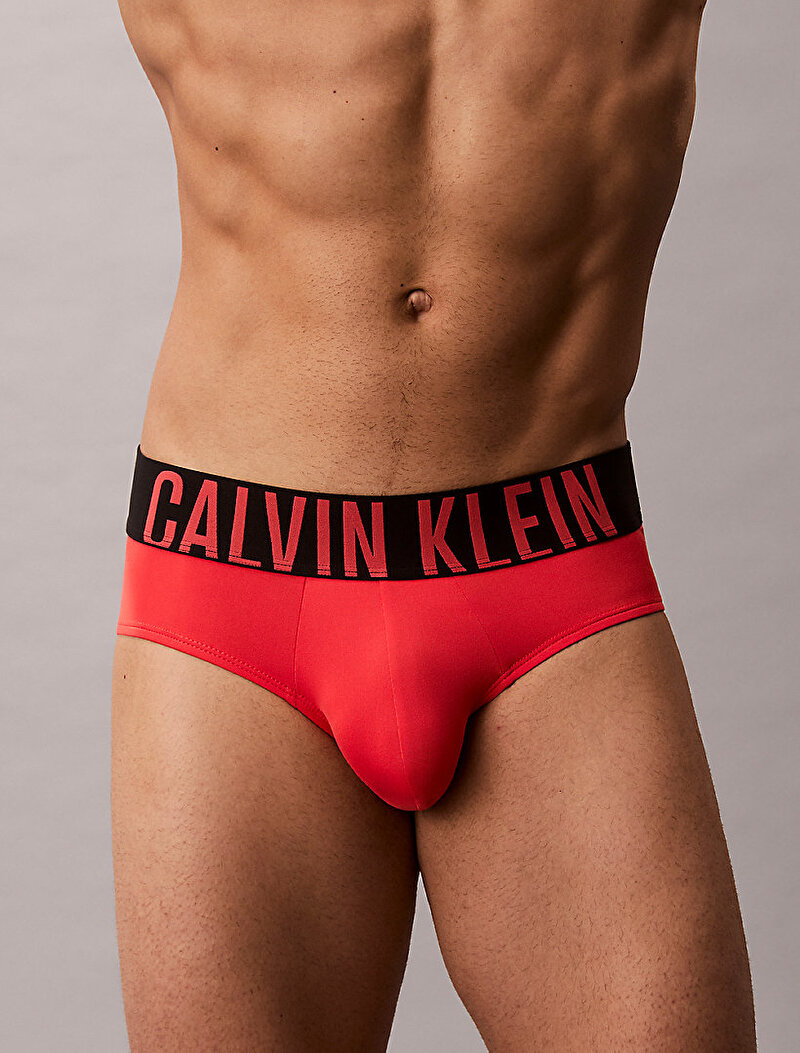 Calvin Klein Çok renkli Renkli Erkek 3'lü Paket Hip Brief Seti