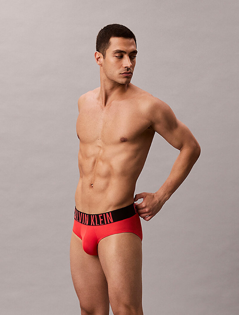 Calvin Klein Çok renkli Renkli Erkek 3'lü Paket Hip Brief Seti