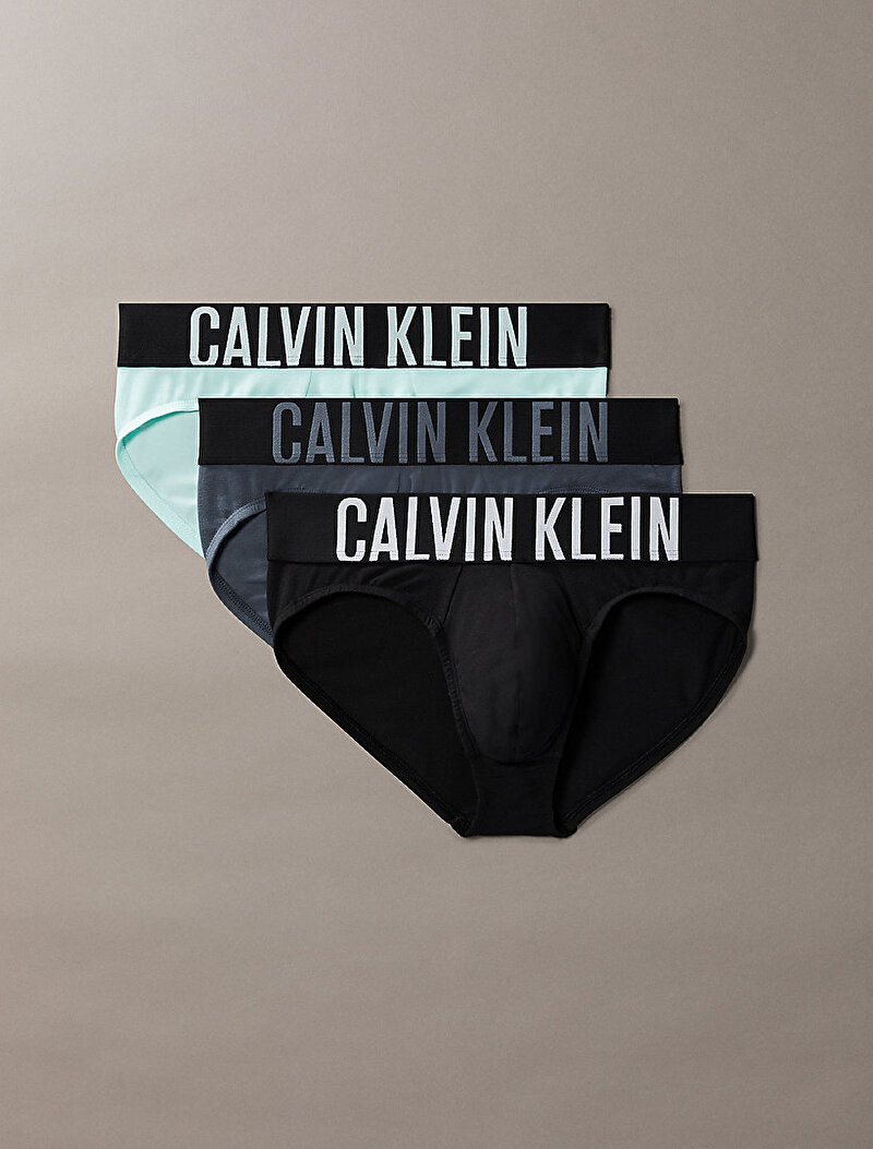 Calvin Klein Çok renkli Renkli Erkek 3'lü Paket Hip Brief Slip