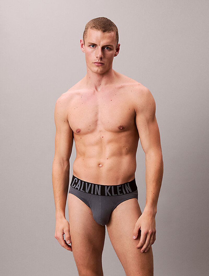 Calvin Klein Çok renkli Renkli Erkek 3'lü Paket Hip Brief Slip