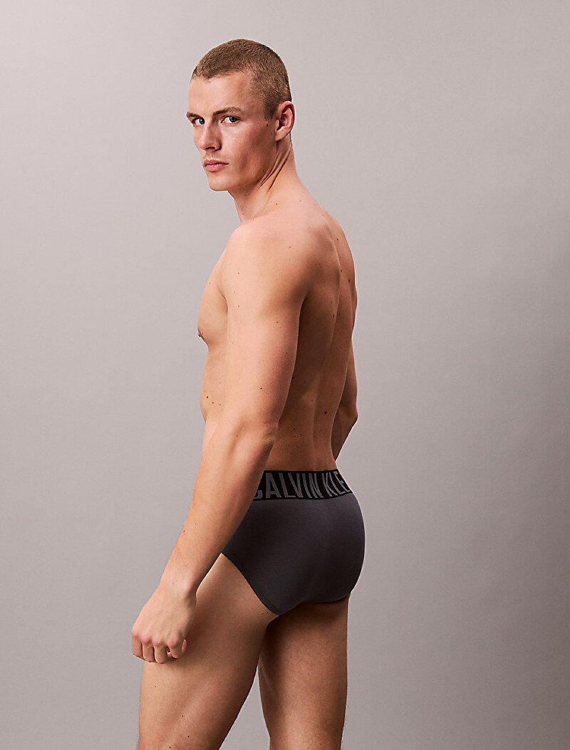 Calvin Klein Çok renkli Renkli Erkek 3'lü Paket Hip Brief Slip