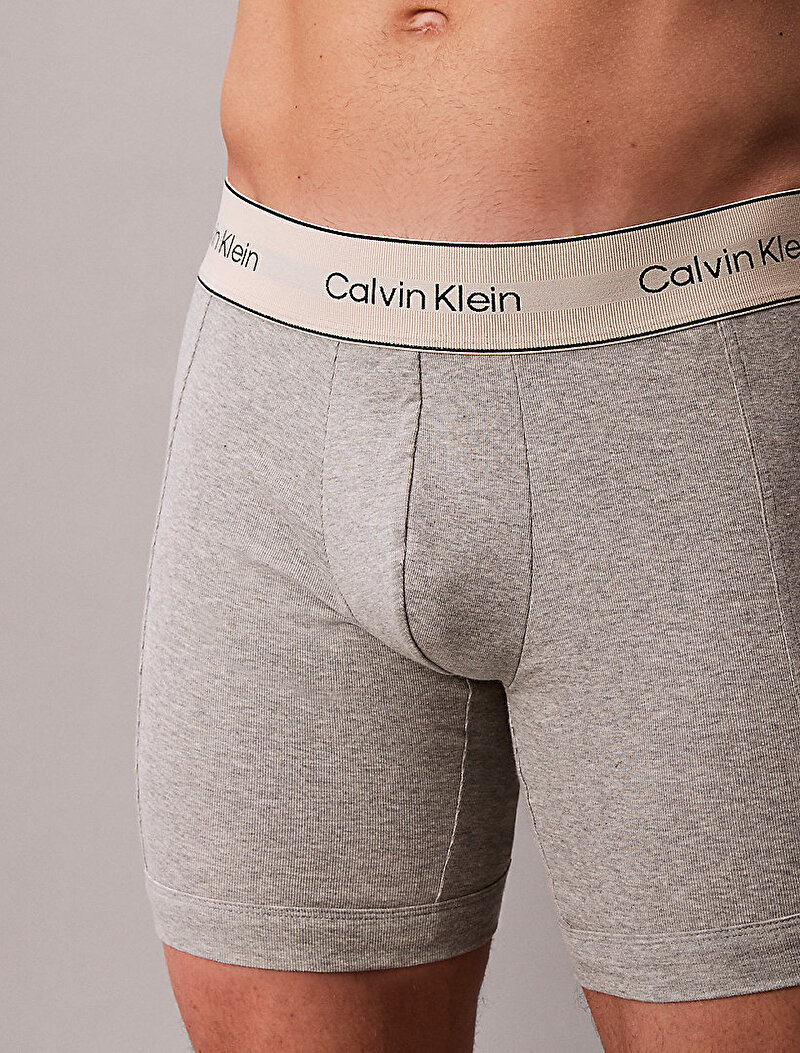 Calvin Klein Çok renkli Renkli Erkek 3'lü Paket Brief Boxer Seti