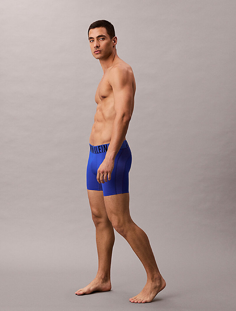 Calvin Klein Lacivert Renkli Erkek Boxer Brief