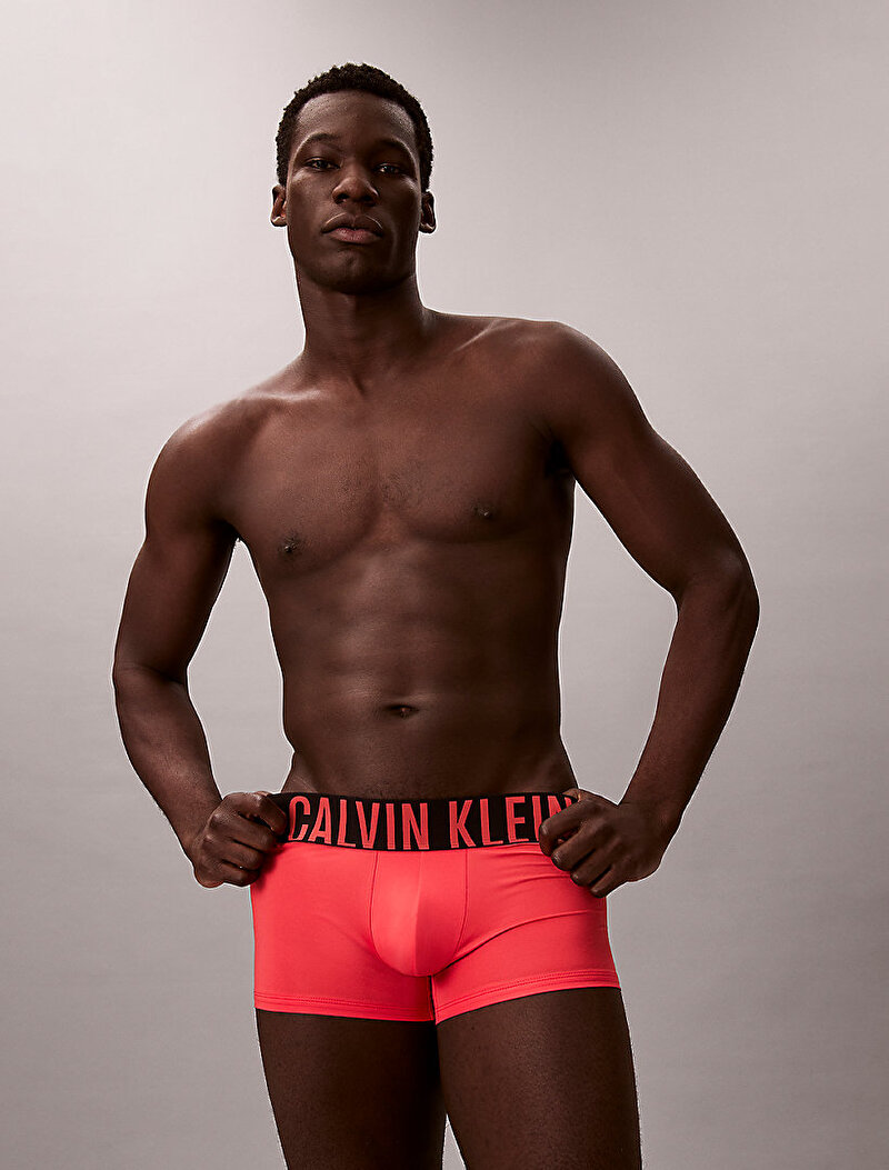 Calvin Klein Çok renkli Renkli Erkek 3'lü Paket Low Rise Trunk Boxer