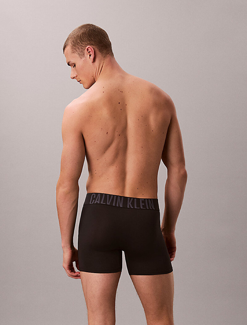 Calvin Klein Siyah Renkli Erkek 3'lü Paket Boxer Brief