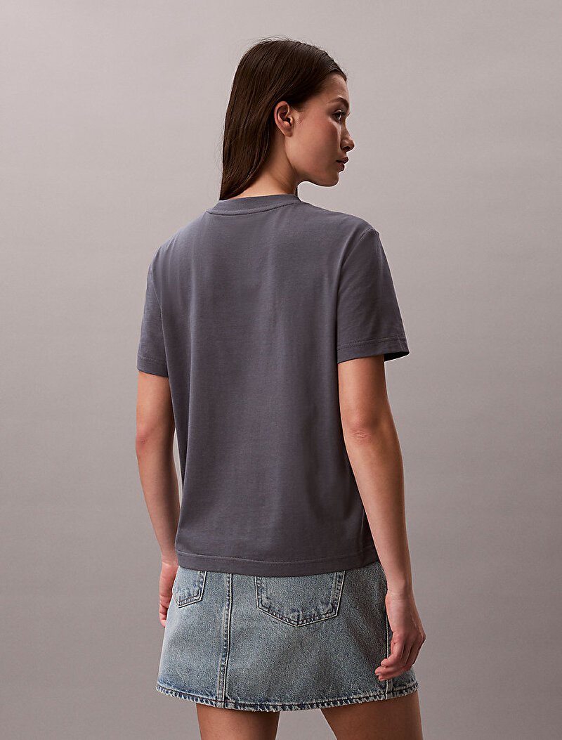 Calvin Klein Gri Renkli Kadın Hero Classic Mono T-shirt