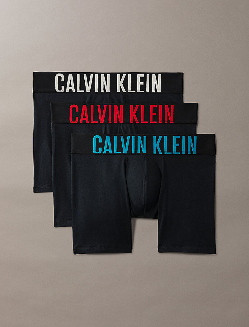 Calvin Klein Siyah Renkli Erkek 3'lü Paket Brief Boxer Seti