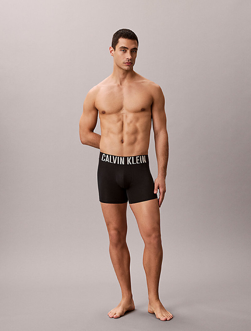 Calvin Klein Siyah Renkli Erkek 3'lü Paket Brief Boxer Seti