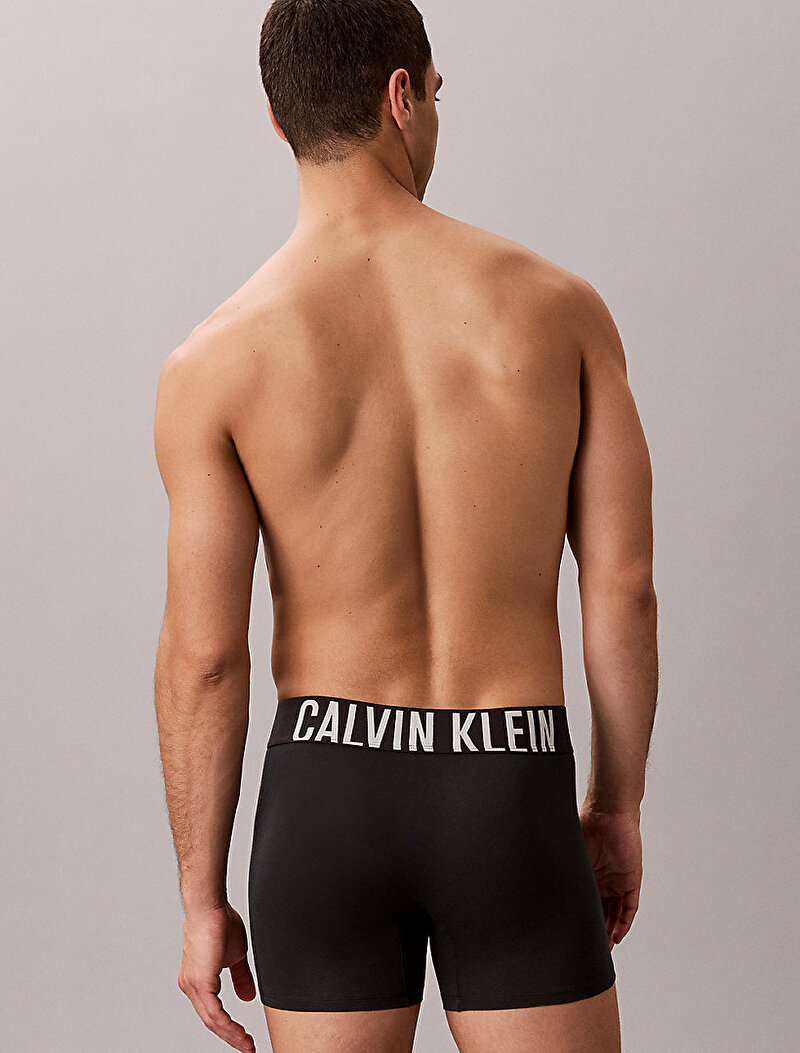 Calvin Klein Siyah Renkli Erkek 3'lü Paket Brief Boxer Seti