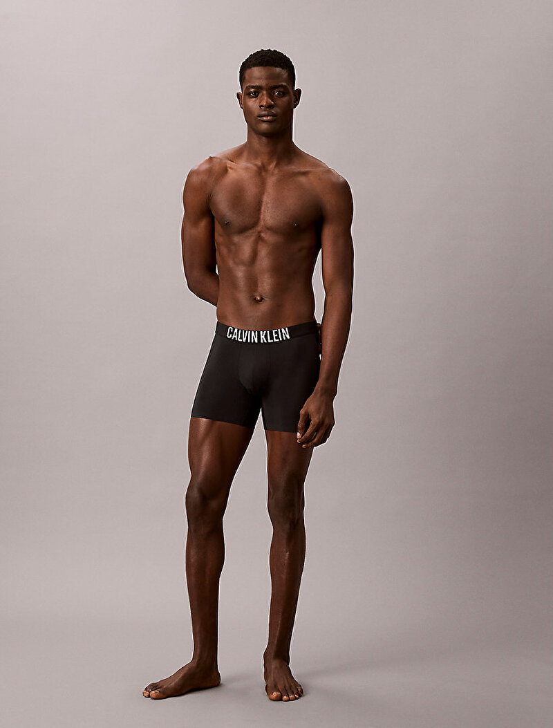 Calvin Klein Siyah Renkli Erkek Brief Boxer