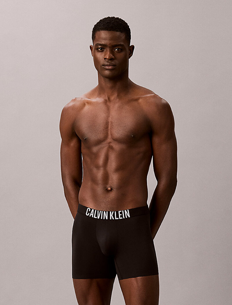 Calvin Klein Siyah Renkli Erkek Brief Boxer
