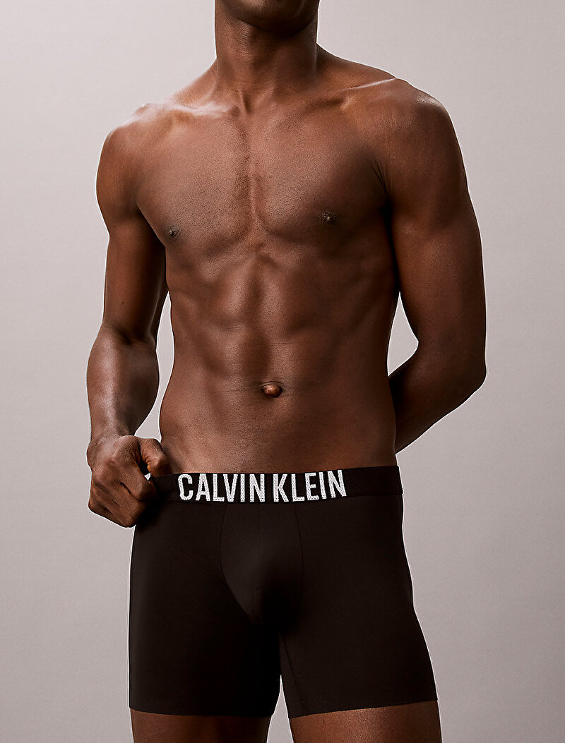 Calvin Klein Siyah Renkli Erkek Brief Boxer