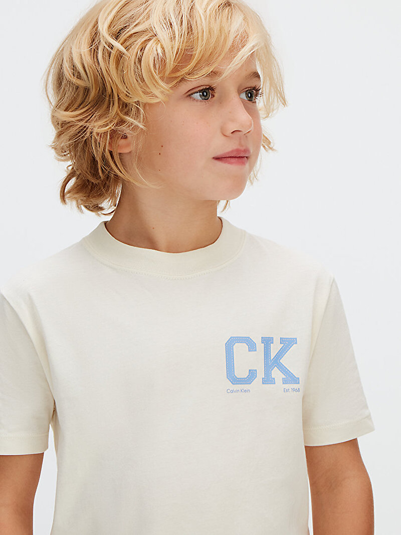 Calvin Klein Çok renkli Renkli Erkek Çocuk Chest Logo T-shirt