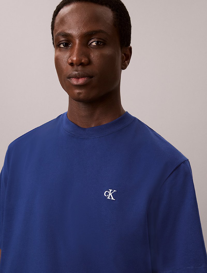 Calvin Klein Mavi Renkli Erkek Easy Monologo T-shirt