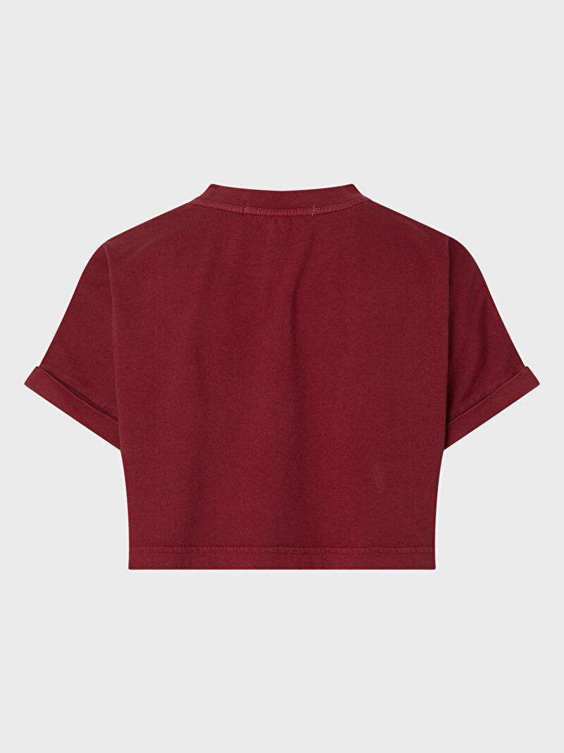 Calvin Klein Kahverengi Renkli Kadın Embroidered Monologo T-Shirt
