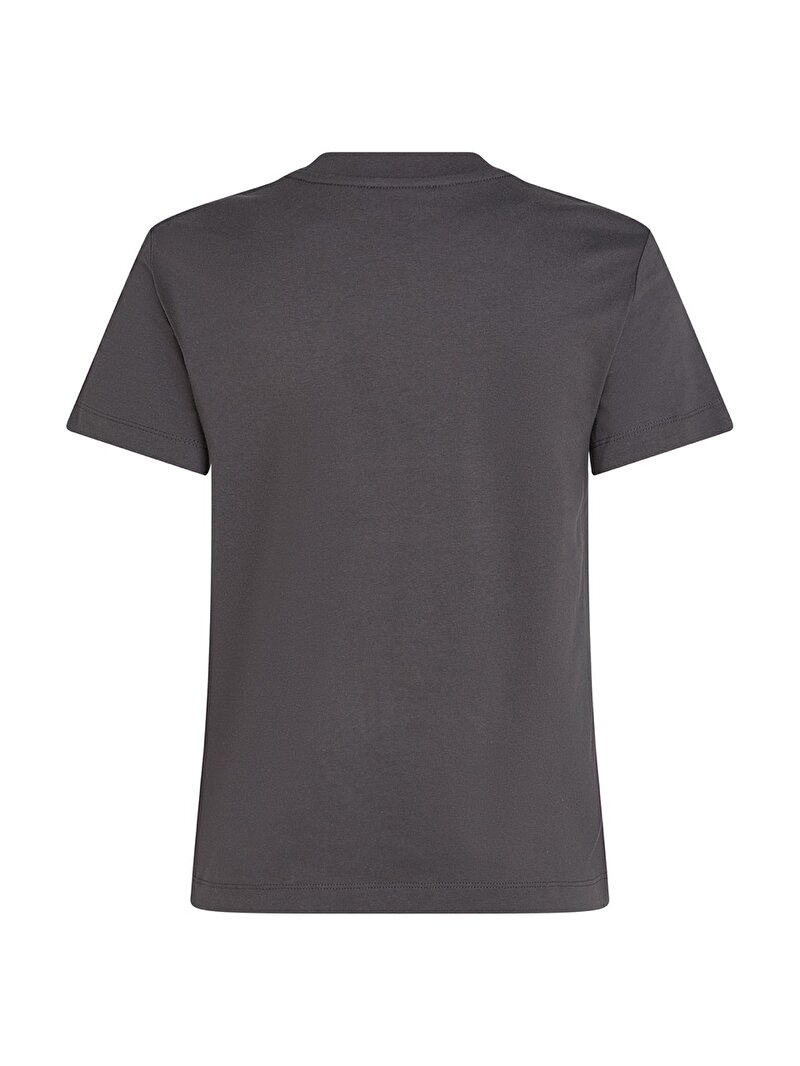 Calvin Klein Gri Renkli Kadın CK Applique Regular T-shirt